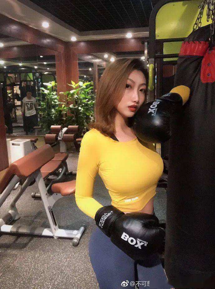 熊猫博士机场免费下载