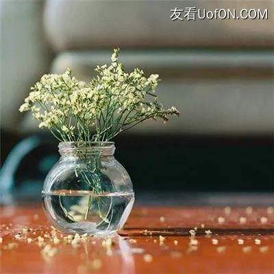 小精灵物语公益服下载