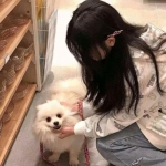 大秦帝国之帝国烽烟vivo客户端下载